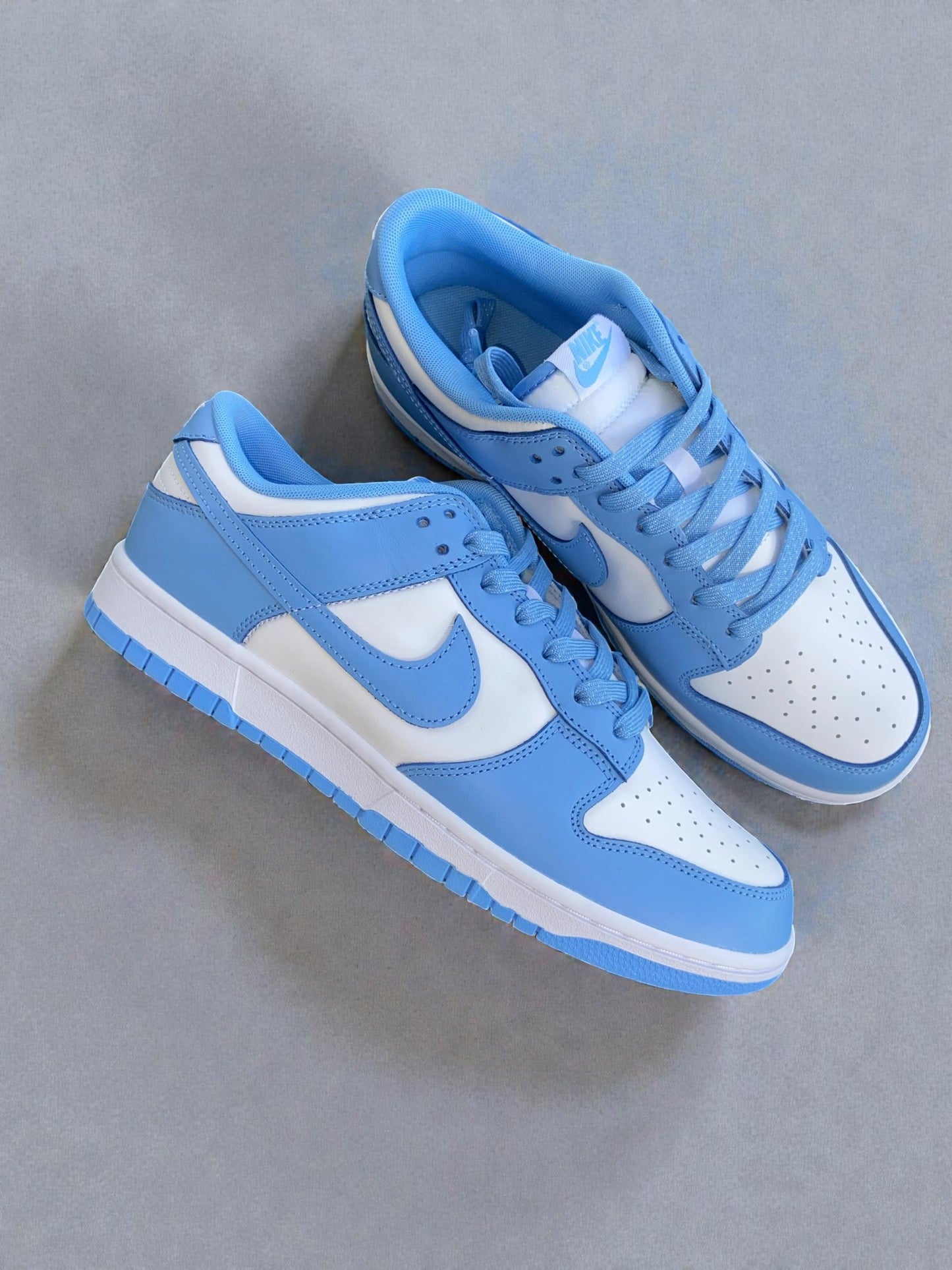 Nike Dunk Low UNC
